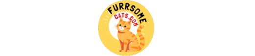 All About Cats